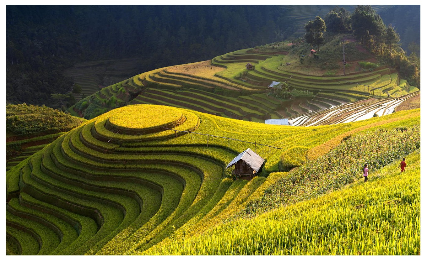 Yên Bái Mù Cang Chải